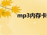 mp3内存卡购买（mp3内存卡）