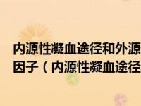 内源性凝血途径和外源性凝血途径形成凝血活酶都需要什么因子（内源性凝血途径和外源性凝血途径的不同之处）