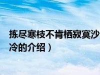 拣尽寒枝不肯栖寂寞沙洲冷（关于拣尽寒枝不肯栖寂寞沙洲冷的介绍）