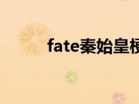 fate秦始皇梗（fate秦始皇英灵）