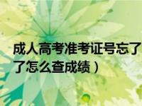 成人高考准考证号忘了怎么查成绩单（成人高考准考证号忘了怎么查成绩）