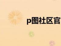 p图社区官网登录（p图社区）