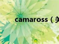 camaross（关于camaross的介绍）