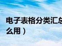 电子表格分类汇总数据（电子表格分类汇总怎么用）