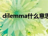 dilemma什么意思啊（dilemma什么意思）