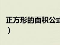 正方形的面积公式用字母表示（正方形的面积）