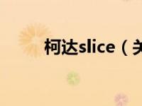 柯达slice（关于柯达slice的介绍）