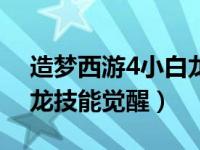 造梦西游4小白龙技能觉醒（造梦西游4小白龙技能觉醒）