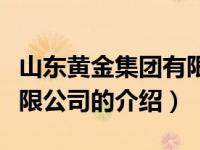 山东黄金集团有限公司（关于山东黄金集团有限公司的介绍）