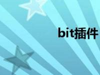 bit插件（bitch怎么读）