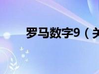 罗马数字9（关于罗马数字9的介绍）