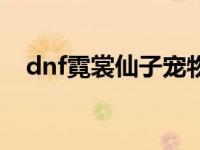 dnf霓裳仙子宠物动态图（dnf霓裳仙子）