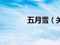 五月雪（关于五月雪的介绍）