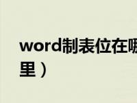 word制表位在哪里设置（word制表位在哪里）