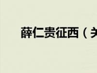 薛仁贵征西（关于薛仁贵征西的介绍）