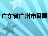 广东省广州市番禺区（广东省广州市番禺区）