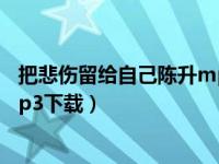 把悲伤留给自己陈升mp3下载微盘（把悲伤留给自己陈升mp3下载）