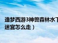 造梦西游3神兽森林水下迷宫风向（造梦西游3神兽森林水下迷宫怎么走）