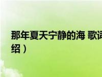 那年夏天宁静的海 歌词（关于那年夏天宁静的海 歌词的介绍）