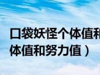 口袋妖怪个体值和努力值金手指（口袋妖怪个体值和努力值）