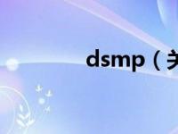 dsmp（关于dsmp的介绍）