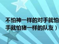 不怕神一样的对手就怕猪一样的队友英语（不怕神一样的对手就怕猪一样的队友）