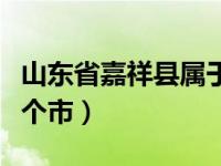 山东省嘉祥县属于哪一个市（山东嘉祥县是哪个市）