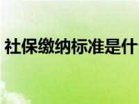 社保缴纳标准是什么（社保缴纳标准是什么）