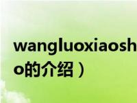 wangluoxiaoshuo（关于wangluoxiaoshuo的介绍）