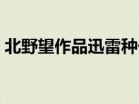 北野望作品迅雷种子下载（北野望作品潘号）