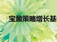 宝盈策略增长基金今日净值（宝盈策略）