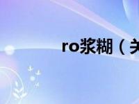 ro浆糊（关于ro浆糊的介绍）