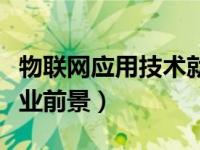 物联网应用技术就业岗位（物联网应用技术就业前景）