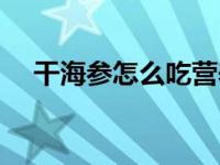 干海参怎么吃营养最佳（干海参怎么吃）