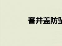 窨井盖防坠网（窨井盖读音）