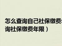 怎么查询自己社保缴费年限（如何查询社保缴费情况 如何查询社保缴费年限）