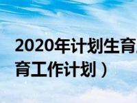 2020年计划生育工作计划表（2020年计划生育工作计划）