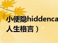 小便隐hiddencam间谍（不可随处小便 改成人生格言）