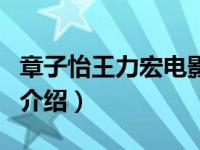 章子怡王力宏电影（关于章子怡王力宏电影的介绍）