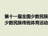 第十一届全国少数民族传统体育运动会成绩（第十一届全国少数民族传统体育运动会）