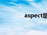 aspect是什么（aspects）