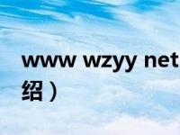 www wzyy net（关于www wzyy net的介绍）