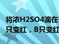 将浓H2SO4滴在干燥的石蕊试纸上，试纸()A只变红，B只变红。