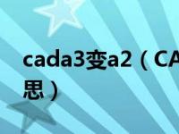 cada3变a2（CAD中A2 3 4(A2 1 4)什么意思）