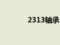 2313轴承尺寸参数（2313）