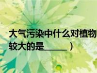 大气污染中什么对植物危害最大（在大气污染中对植物危害较大的是______）