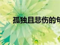 孤独且悲伤的句子（悲伤的句子孤独）