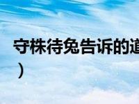 守株待兔告诉的道理（守株待兔的道理是什么）