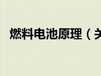 燃料电池原理（关于燃料电池原理的介绍）