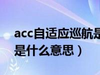 acc自适应巡航是什么级别（acc自适应巡航是什么意思）